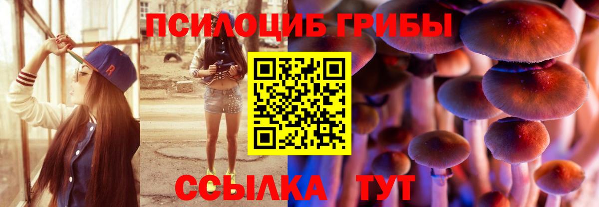 Псилоцибиновые грибы Magic Shrooms  Вход с VPN  Кинель  Галлюциногенные грибы Magic Shrooms 